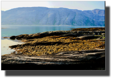 Ved Sandnessjøen, Leirfjorden DSC03660.jpg