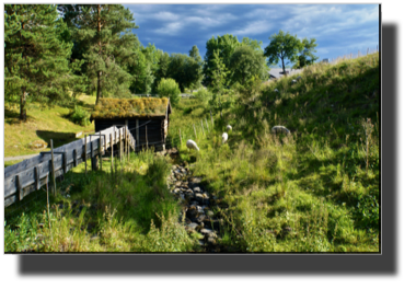 Folkemuseet DSC03490.jpg