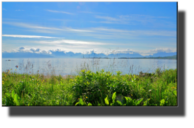 View of Hadselfjord from Børøya DSC03805.jpg