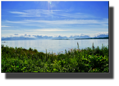 View of Hadselfjord from Børøya DSC03813.jpg
