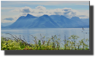 View of Hadselfjord from Børøya DSC03816.jpg