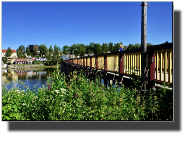 Pedestiran bridge DSC03423.jpg