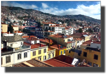 View from the Cable car of Funchal DSC03977.jpg