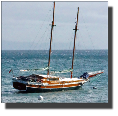 Boats at Madeira  
DSC04016.jpg