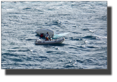 Boats at Madeira DSC04041.jpg