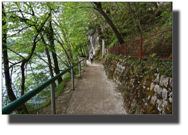 The path around the lake DSC02024.jpg The path around the lake DSC02024.jpg