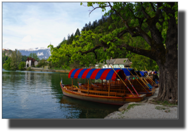 Lake Bled. Boats for rent DSC02035.jpg
