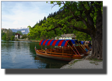 Lake Bled. Boats for rent DSC02035.jpg Lake Bled. Boats for rent DSC02035.jpg