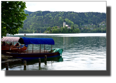 Lake Bled. Boats for rent DSC02036.jpg