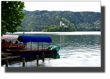 Lake Bled. Boats for rent DSC02036.jpg Lake Bled. Boats for rent DSC02036.jpg