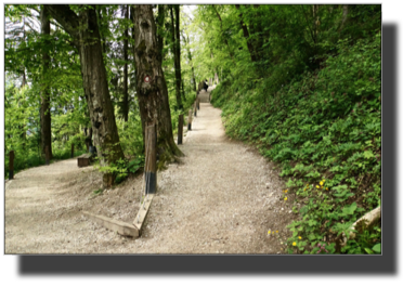 The path to Grad Castle DSC02052.jpg The path to Grad Castle DSC02052.jpg