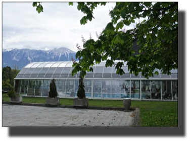 Grad Village DSC02158.jpg Grad Village DSC02158.jpg