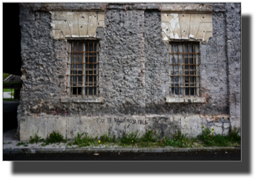 Ready for rehabilitation? DSC02264.jpg Ready for rehabilitation? DSC02264.jpg