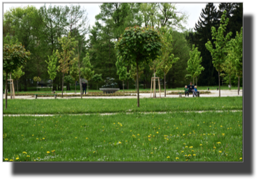 Tivoli Park DSC02295.jpg Tivoli Park DSC02295.jpg