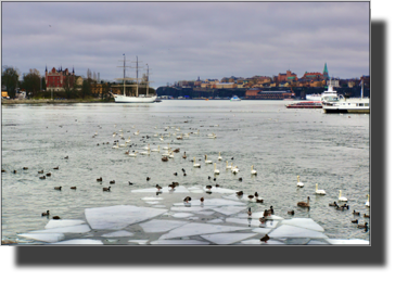 Stockholms ström
DSC04583.JPG Stockholms ström
DSC04583.JPG
