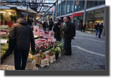 Högtorget
DSC04618.JPG Högtorget
DSC04618.JPG