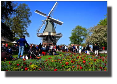 Keukenhof DSC00077.jpg