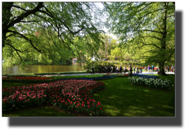 Keukenhof DSC00082.jpg