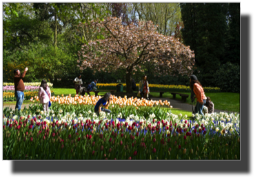 Keukenhof DSC00083.jpg