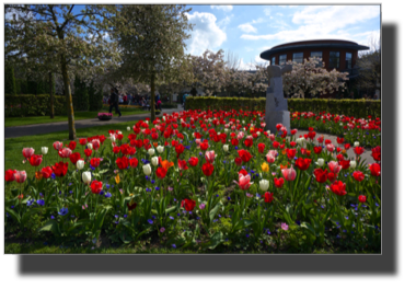 Keukenhof DSC00086.jpg