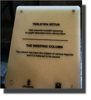 The Weeping Column
DSC05508.JPG The Weeping Column
DSC05508.JPG