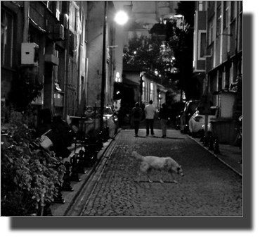 A road in Istanbul near Ayasofya.
DSC05861.JPG A road in Istanbul near Ayasofya.
DSC05861.JPG