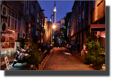 A road in Istanbul near Ayasofya.
DSC05862.JPG A road in Istanbul near Ayasofya.
DSC05862.JPG